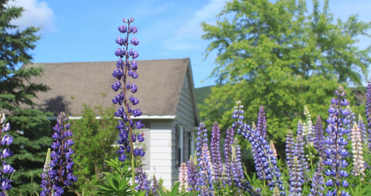 Chanterelle Inn & Cottages Baddeck Inlet المظهر الخارجي الصورة